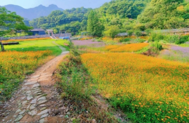 路桥区桐屿凉溪古道：藏于浙东南的千年驿道秘境