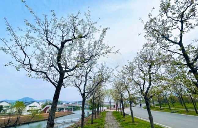 螺洋水滨村—乡村风情的影视外景宝藏