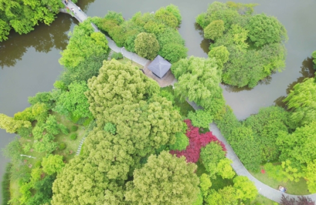 都市绿肺 光影画卷——路桥中央山公园一期影视外景地探秘