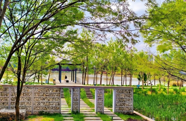 黄岩江北公园：都市里的自然诗画 四季流转